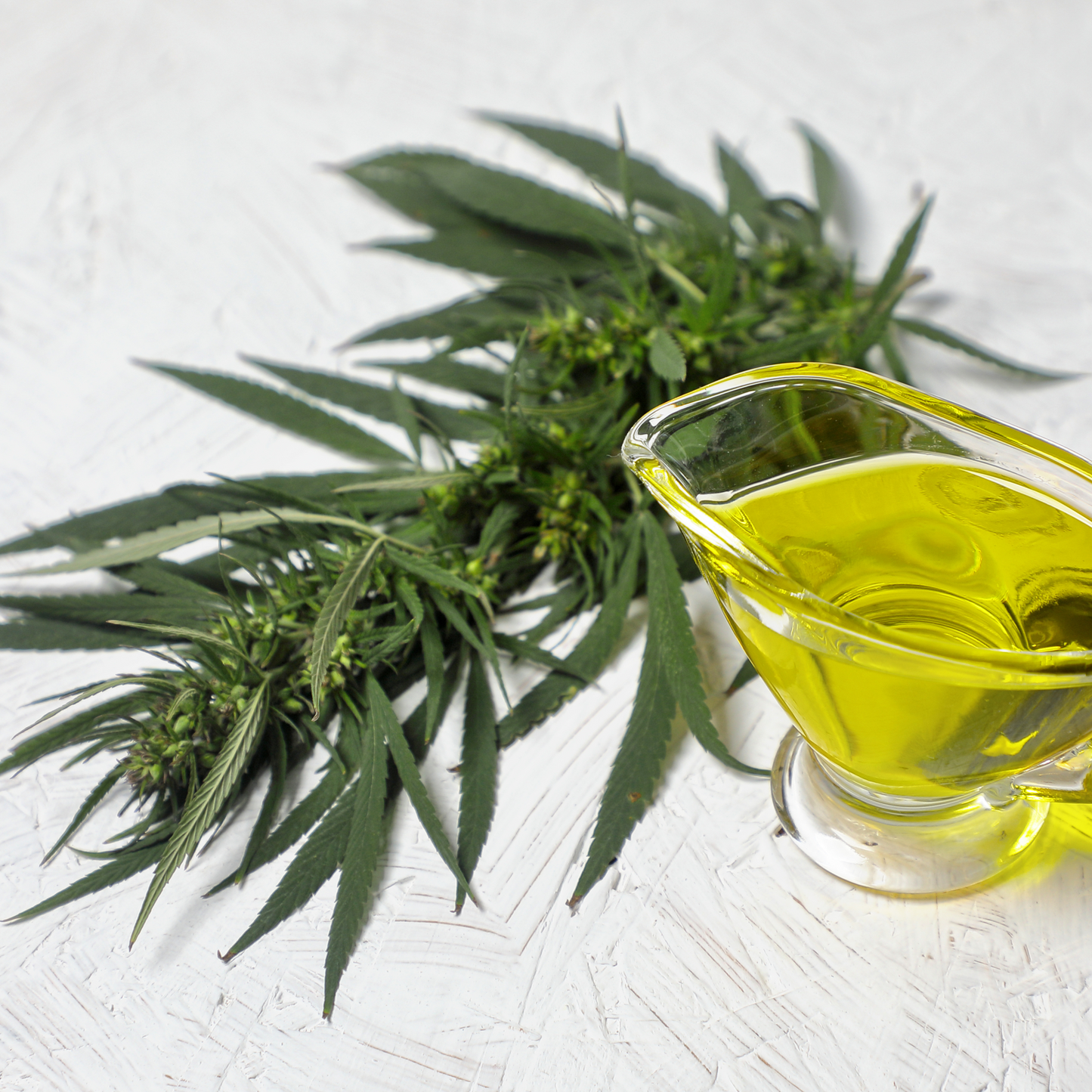 Hemp Seed Oil