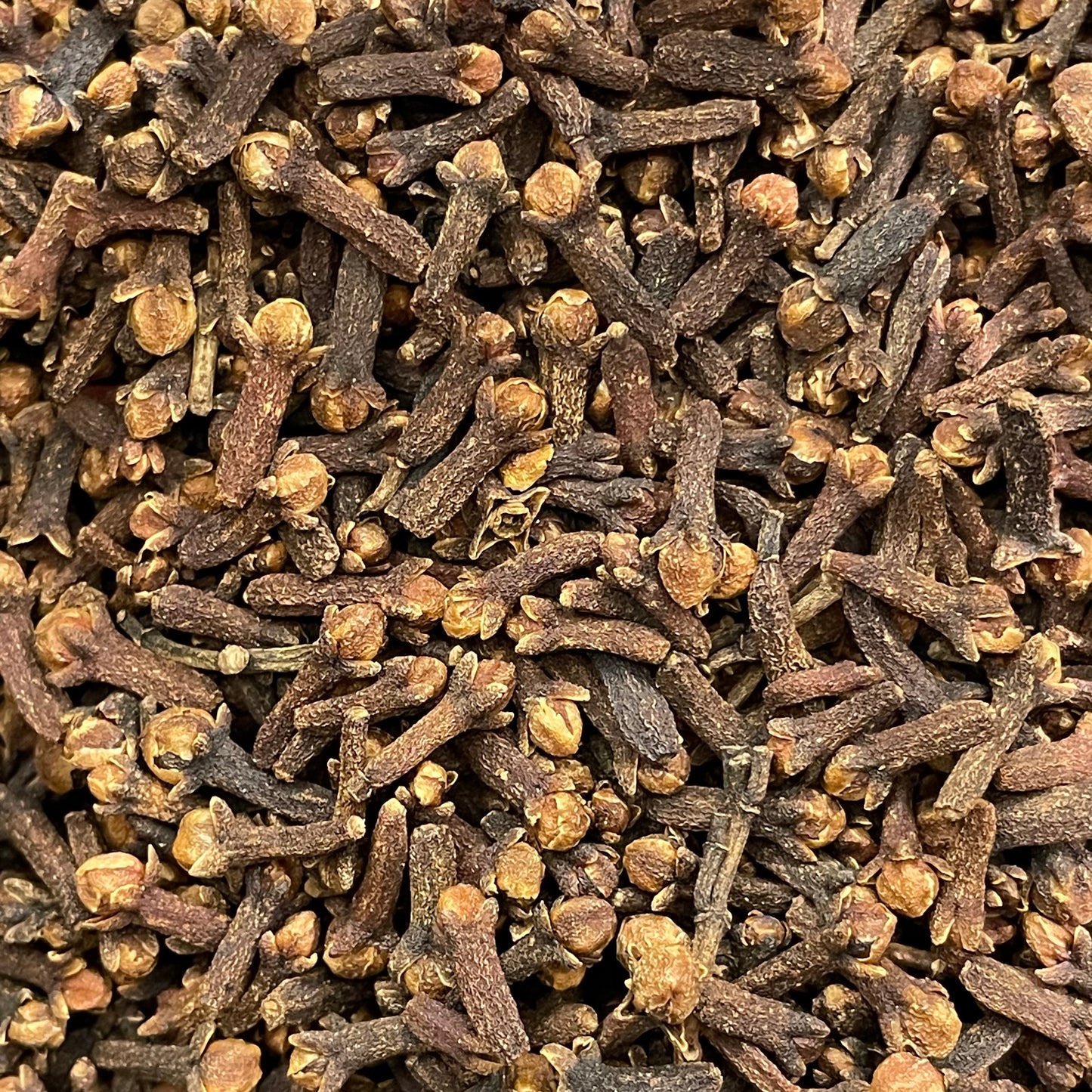 Cloves - Syzygium Aromaticum