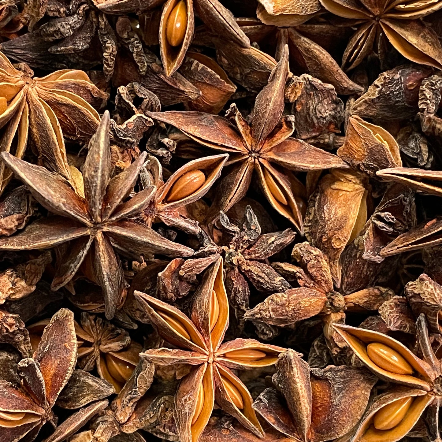 Star Anise - Illicium Verum